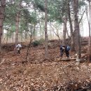 배씨농장 이미지