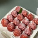Strawberry32 이미지