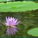 책과 글나무 이미지