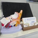 잠실보청기