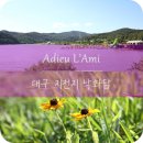 신동지낚시터 이미지