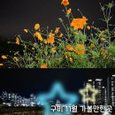 들성로-8 이미지