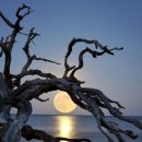 만석공원 이미지