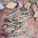 삼동농장 이미지