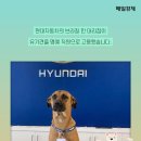 역전자동차 이미지