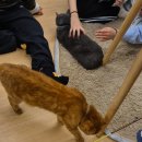 NR-14[충렬대로]-하-6 | [취준일기] 취준 스트레스 우울 그렇지만 소소한 행복 연말 여행