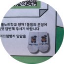 양재서리풀노리학교 이미지