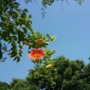 대흥농장 이미지