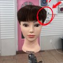 커트실무헤어전문학원 이미지