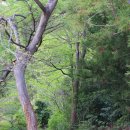 강정동-16 이미지