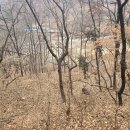 척곡소류지 Daum카페