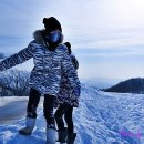 삼양목장 이미지