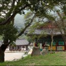 함평 龍泉寺 이미지