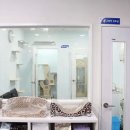 드림24동물병원 이미지