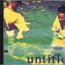 언타이틀 카카오 검색결과