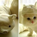 와 피시방 이미지