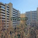 압구정-209 이미지