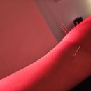 홍주유치원 | [LONDON|D+99~104]일하는 일상 | 한의원 4회차 | 뉴몰든 나들이