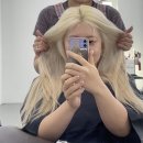 홍대 집사카페 후기(내돈내산)/뿌리탈색 잘 하는 곳/송도 스시맛집/인생 애니 추천/야무지게 놀고 싶은...