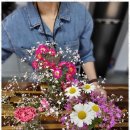 춘천공인중개사사무소 이미지