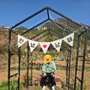 푸른정비 | 남해 여행 푸른 바다와 계단식 논이 그려낸 절경 다랭이 마을 탐방 후기