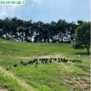 농원민박 이미지