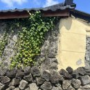 신창 그리고 제주 이미지