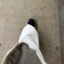 DREAM모텔 | 11일, 도시 다섯개, 비행 다섯번 | ✈️🇺🇸✈️🏙️✈️🌆✈️🌃✈️