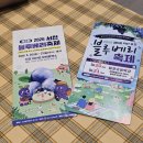 2026 서천 마서면 블루베리축제 / 익산 웅포면 블루베리축제 다녀왔어요