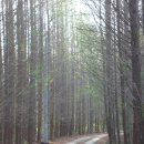 설성농장 이미지