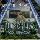 스마트렌트카 | [오키나와 여행]스마트한 시작! 이심(eSIM)설정부터 이온 ATM 환전, 가성비 렌트카 후기