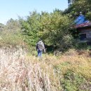 야산마을진입로 이미지