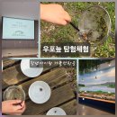 우포가시연꽃마을 | 창녕 아이와 가볼 만한 곳] 5월, 생물다양성의 날 맞이 '우포늪 생물다양성 탐험' 생생 후기!
