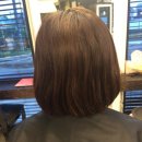 살롱드에스 이미지