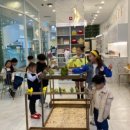 리프패럿 롯데마트 광복점 이미지