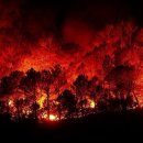 49.6도의 폭염에 이어 이번에는 산불이 난 캐나다 이미지