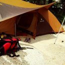 민들레울 이미지