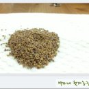 철마농장 이미지