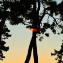 설천면109 이미지