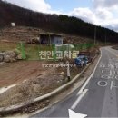 울타리공인중개사사무소 이미지