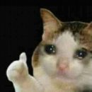 (주)이글루 | ♪♬ 스키 스노보드 렌탈샵 >>이글루<< 방문 후기 ♬♪