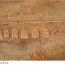 동학산 공원 이미지