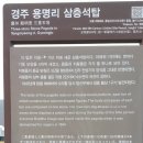 용명사 네이버블로그