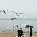 낙조수산 | [대부도 당일치기 여행] 가볼만한곳 15호 형제수산 주차 구봉도 낙조전망대 발리다카페 내돈내산 솔직후기