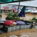 엄정내창시장 이미지