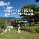 무주 향로산 자연휴양림 여름휴가 추천! 수영장 모노레일 후기