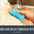 애견 실리콘샴푸 마사지 거품브러쉬 사용법 후기