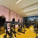 위너핏 | 💪 통진 헬스장 위너핏 솔직 후기 / 재등록 각,,,