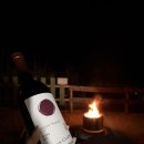 GS25 사천동강점 | 네이쳐 사운드 와인 쉬라즈 후기 | 호주·가성비 와인·GS25와인·1+1·가격·캠핑와인