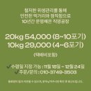 김장일농장 | 힘들게 김장하지 말고 광주절임배추는 깨끗한 곳에서 주문해먹어요